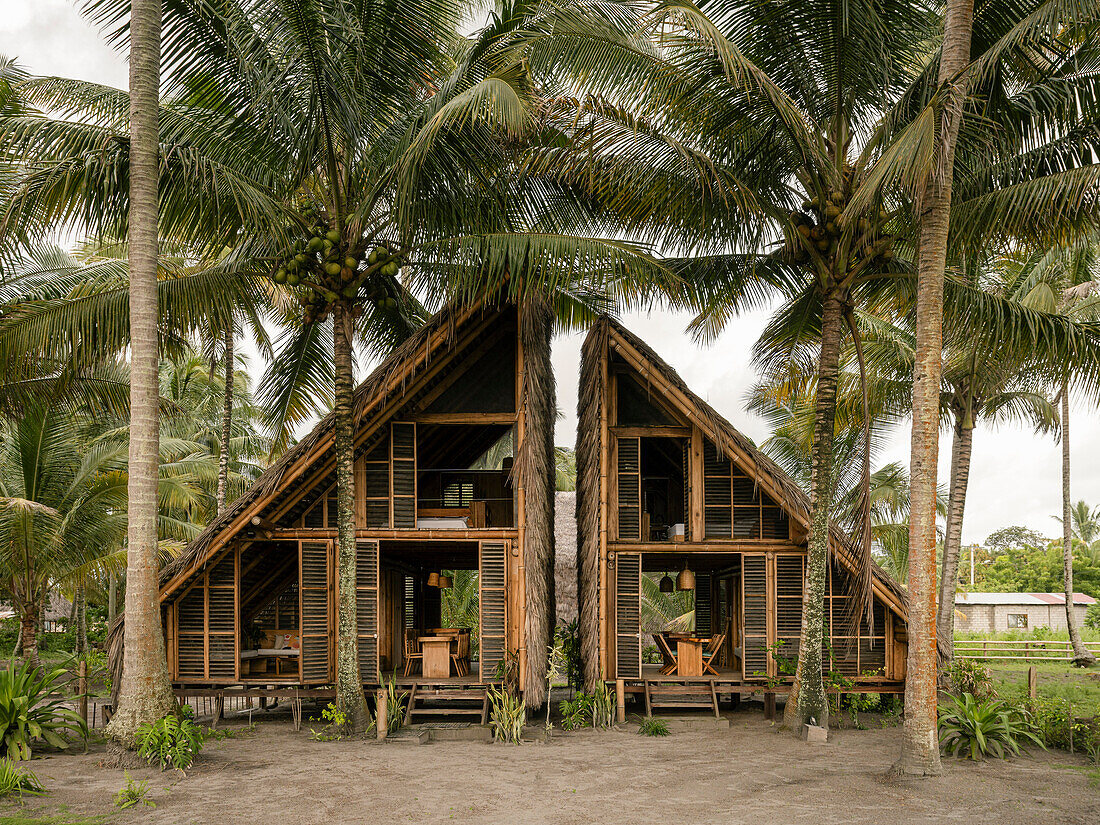 Dreieckiges Bambushaus umgeben von Palmen auf Isla Portete, Ecuador