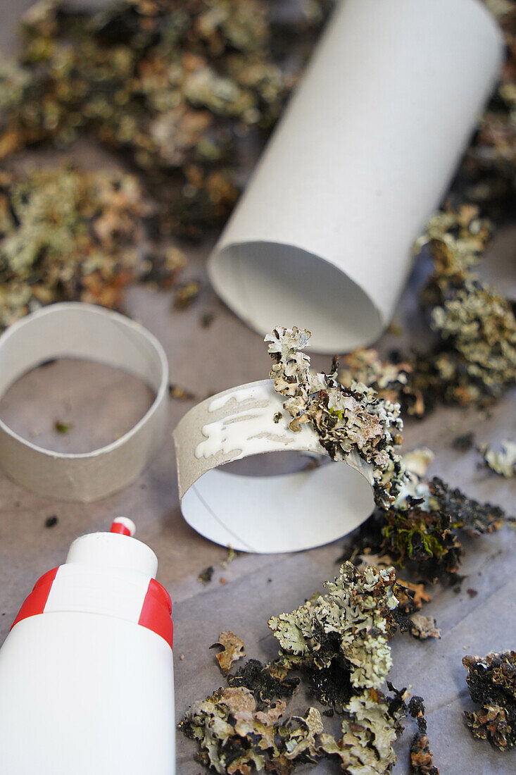 DIY project with lichen on paper tubes