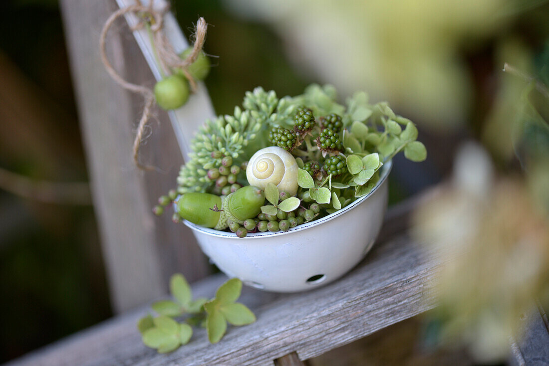 Autumn decoration with succulents, sedum, snail shell and acorns in a hanging ladle