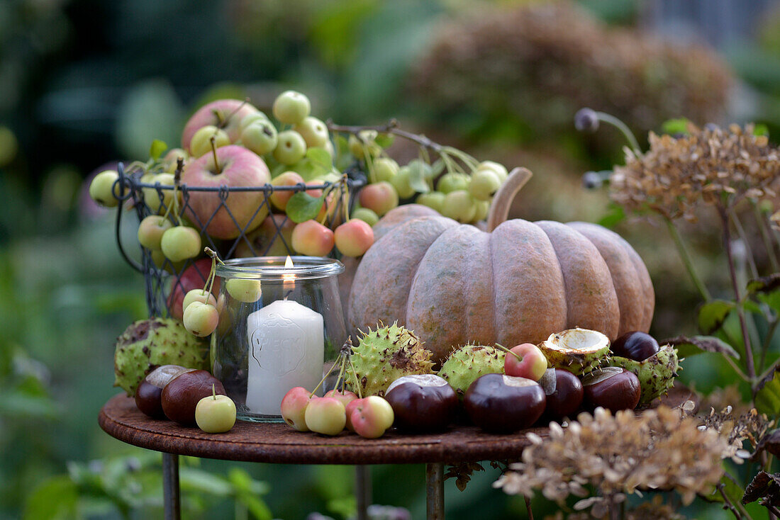 Autumn arrangement with candle, ornamental apples (Malus), pumpkin and chestnuts on outdoor rust table