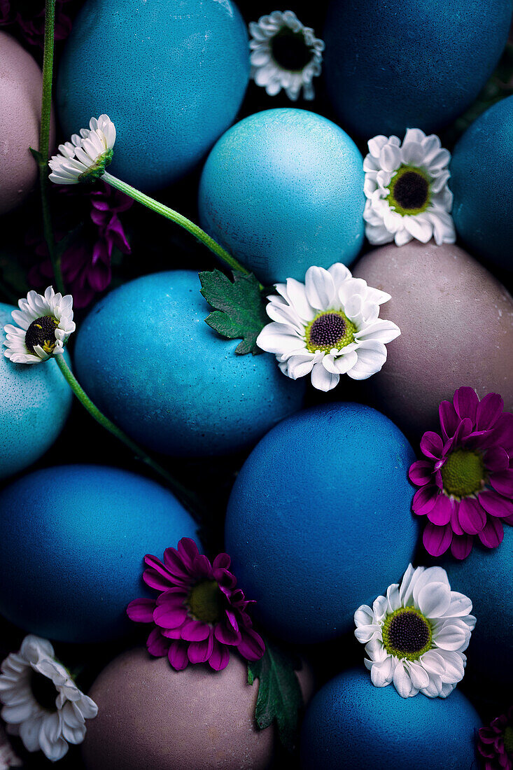 Easter eggs in shades of blue with daisies (bellis) and gerberas