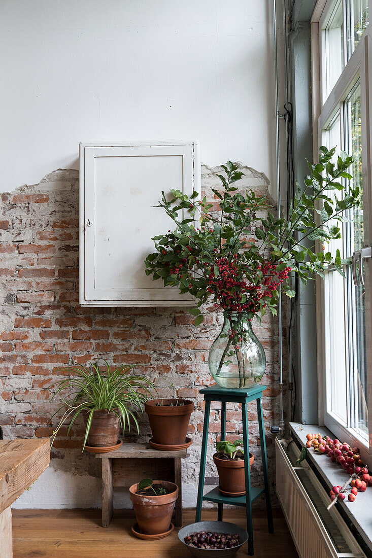 Bouquet of red berries and green branches in glass vase, plants and brick wall