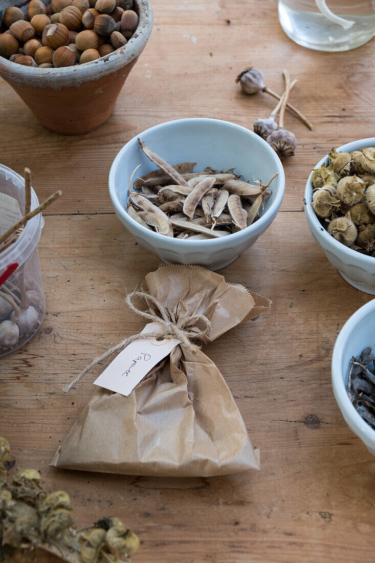 Dried plant seeds and pods in bowls and paper bag on wooden table