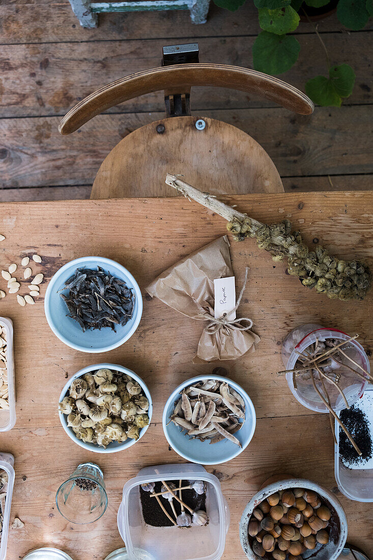 Herbs and seeds sorted in bowls on a rustic wooden table