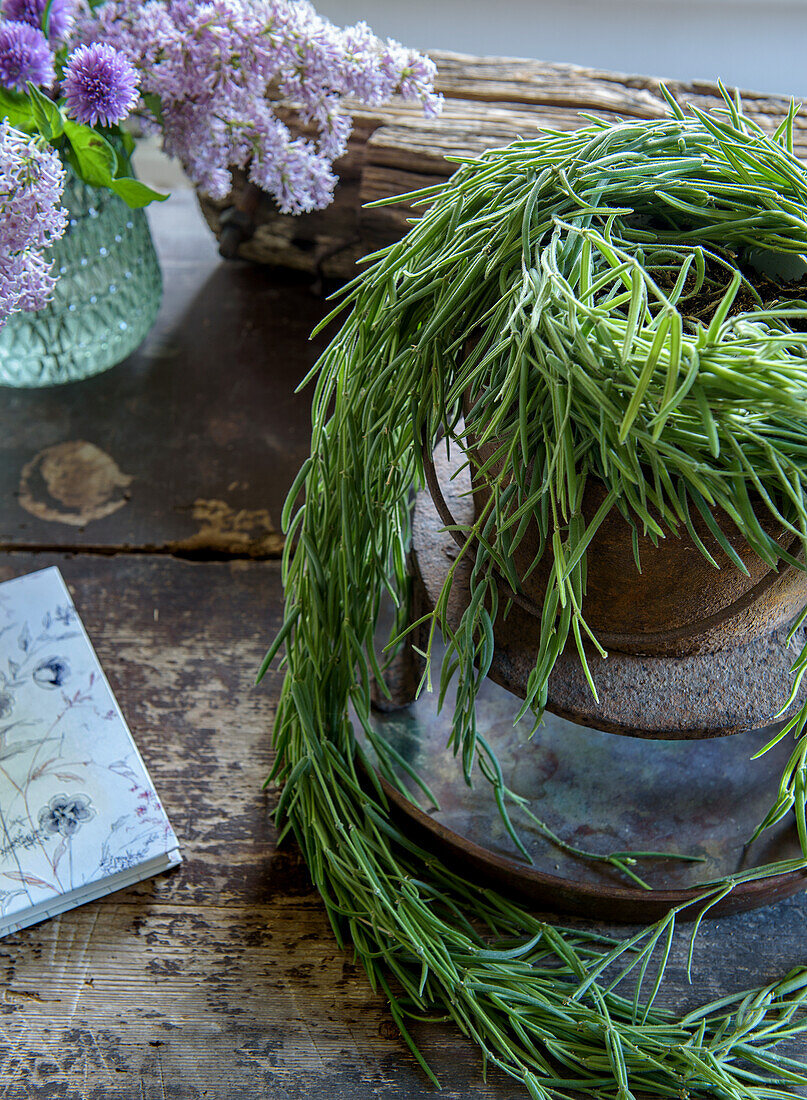 Rustic wooden table with plant and bouquet of lilacs in a jar