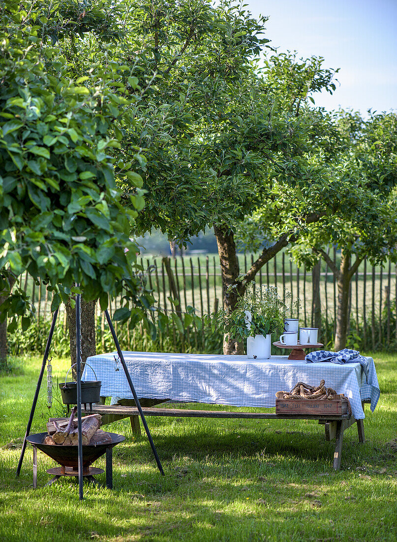 Gedeckter Tisch im grünen Obstgarten mit Feuerstelle