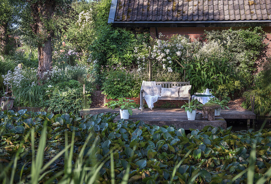 Romantic garden bench by the pond with water lilies