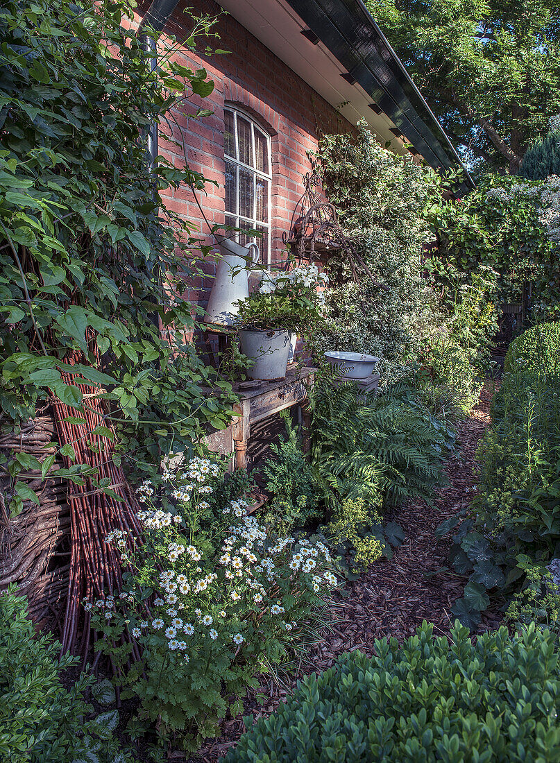 Garden work table with lush climbing plants behind brick house