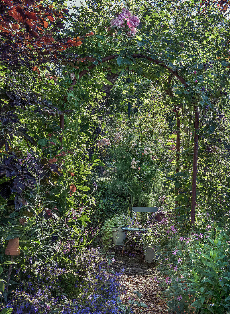 Metal arch with roses and a lush variety of plants in the summer garden