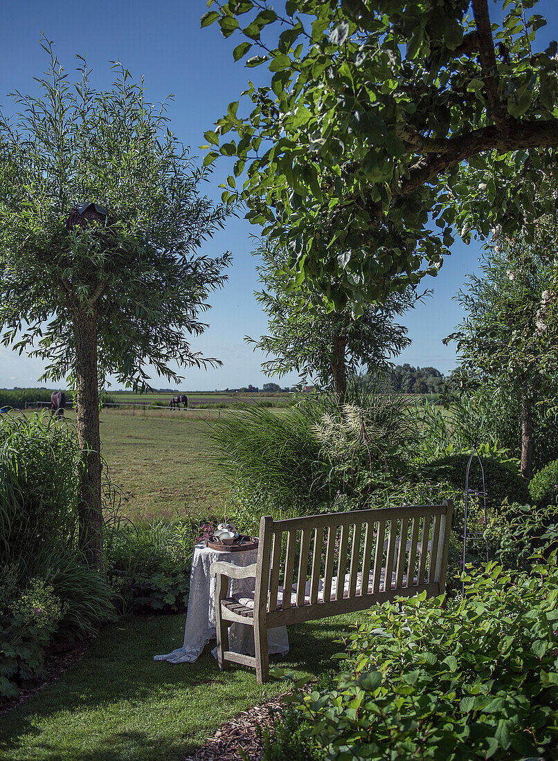 Wooden bench in the country garden with a view