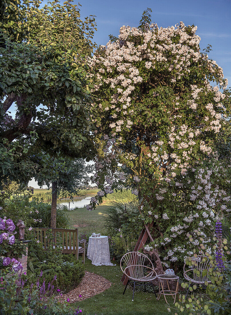 Romantic garden scene with flowering climbing roses and view of water