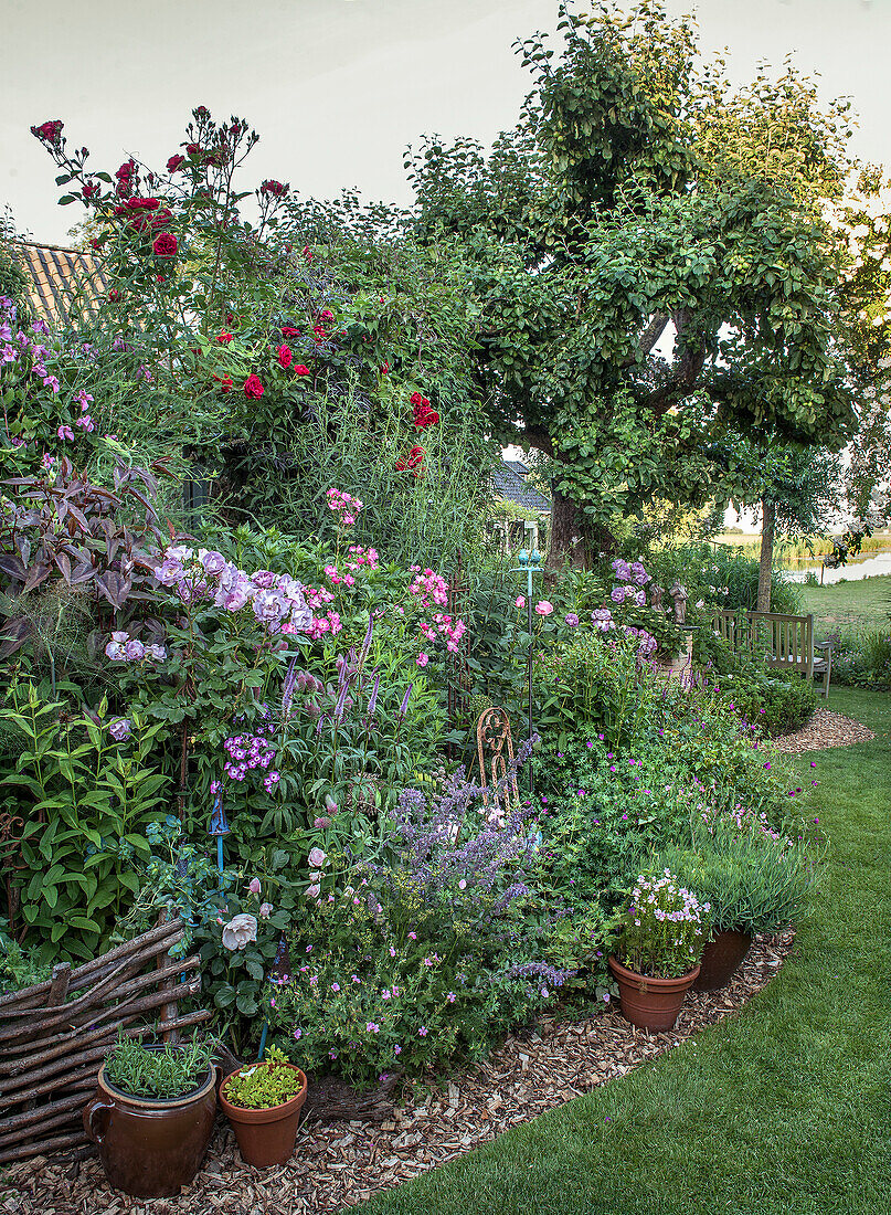 Lushly planted and blooming flower bed in the summer garden