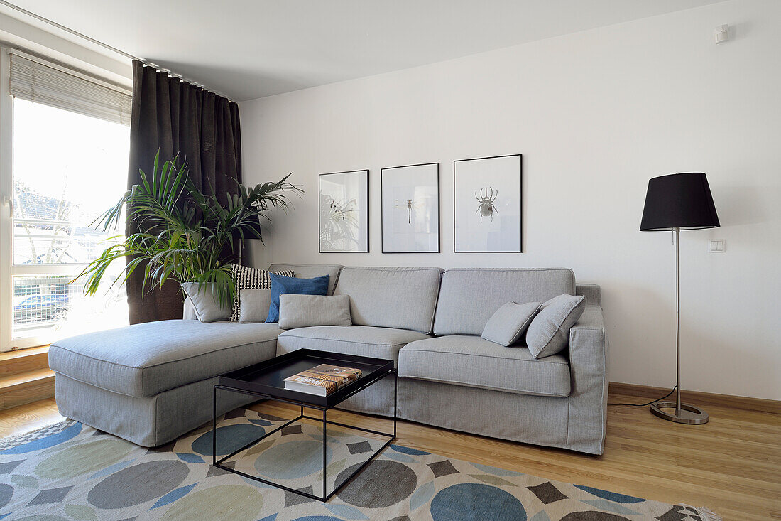 Bright living room with light grey corner sofa and carpet with geometric pattern