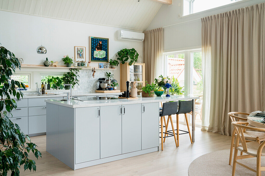 Modern kitchen with cooking island and bar stools surrounded by houseplants