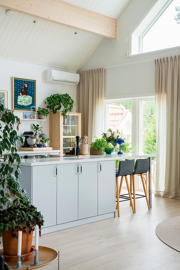 Bright kitchen with counter, plants and large windows