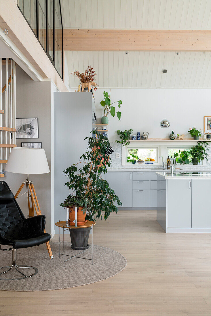 Open-plan living room with plants and kitchen area in light grey