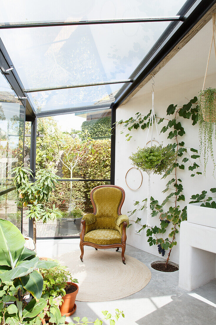 Brightly designed conservatory with plants and green armchair