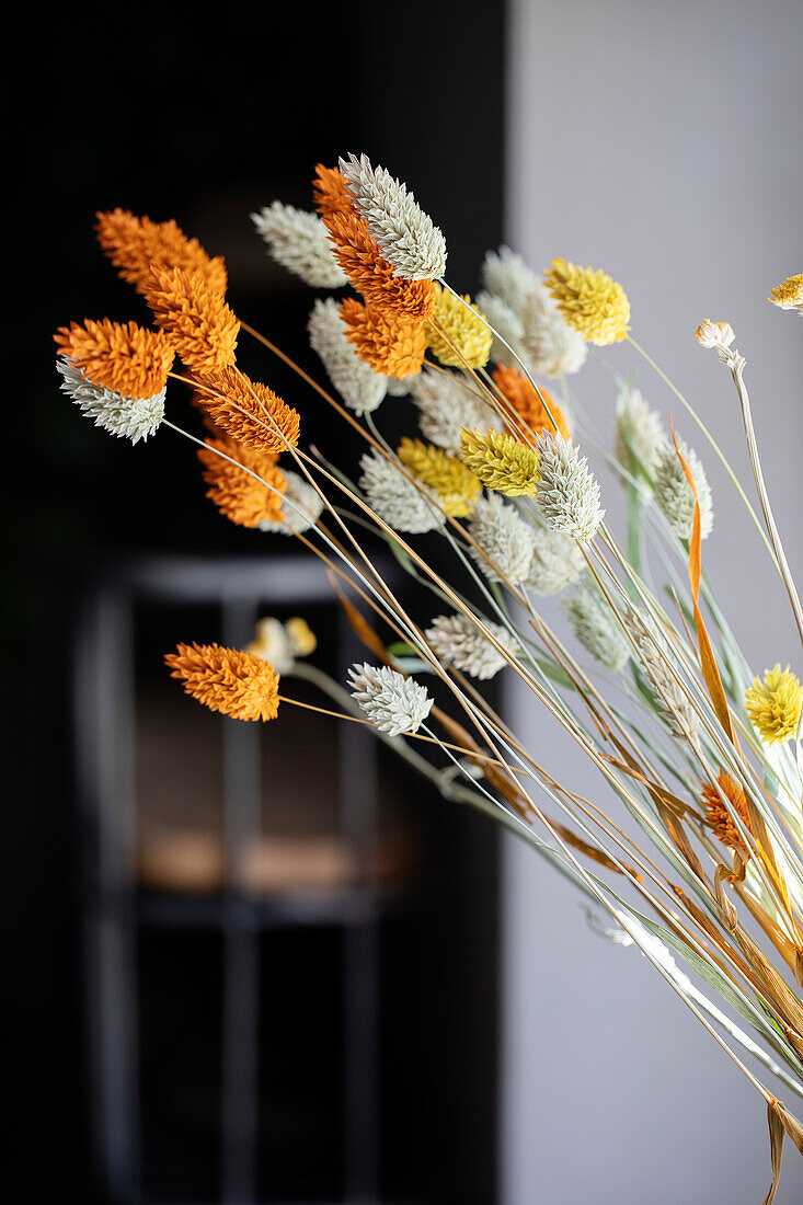 Trockenblumenstrauß in Orange, Gelb und Creme im Fokus