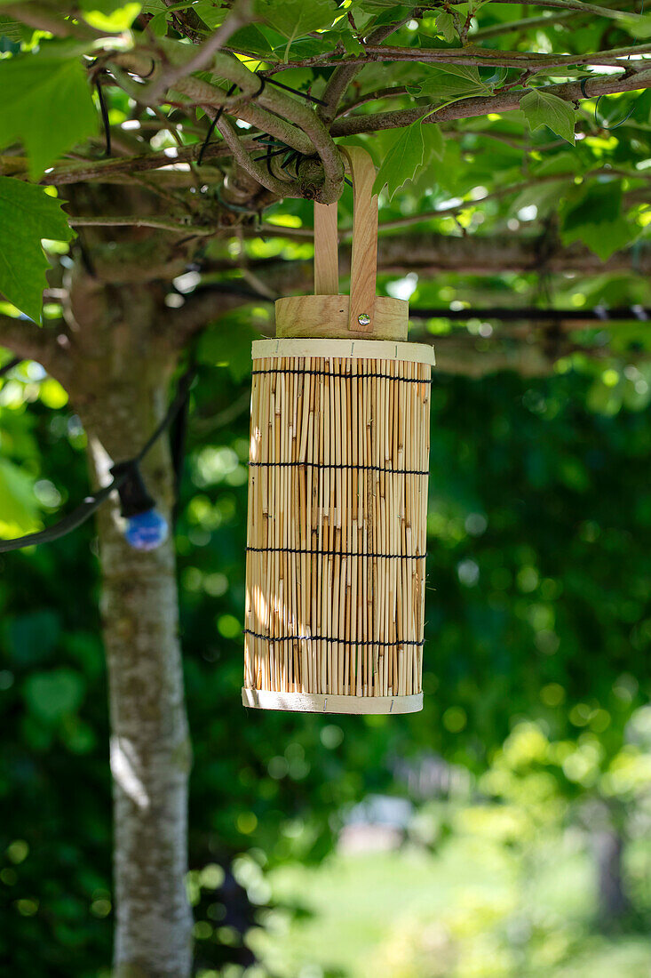 Bamboo lantern in the summer garden, hung on a branch