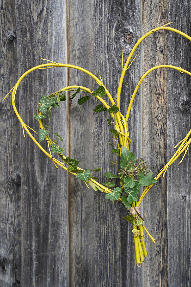 DIY heart made from yellow twigs and ivy on a wooden wall