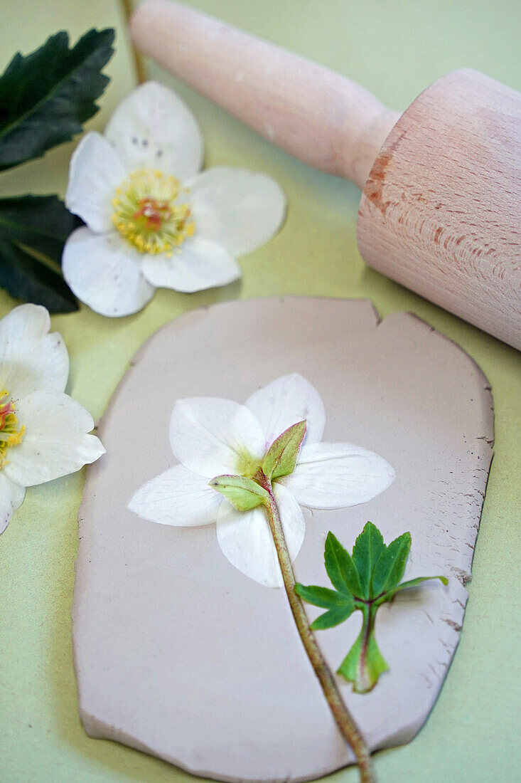 DIY project: Floral print with Christmas rose on clay plate