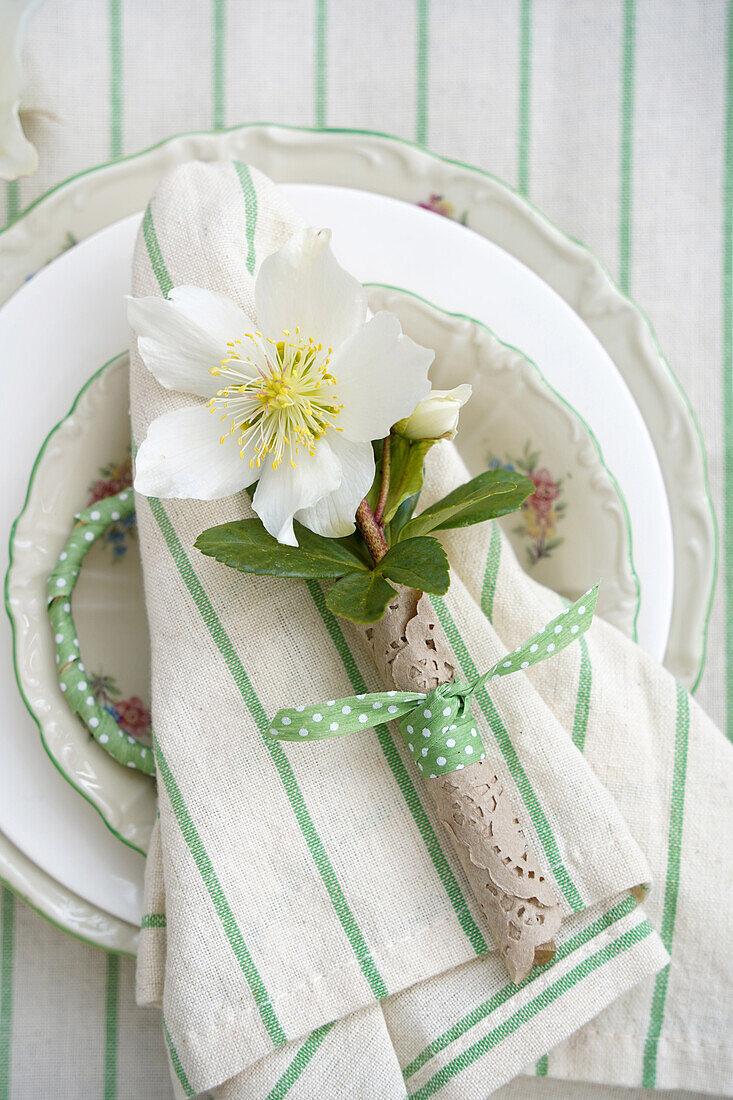 Table decoration with Christmas rose wrapped in lace on striped fabric napkin