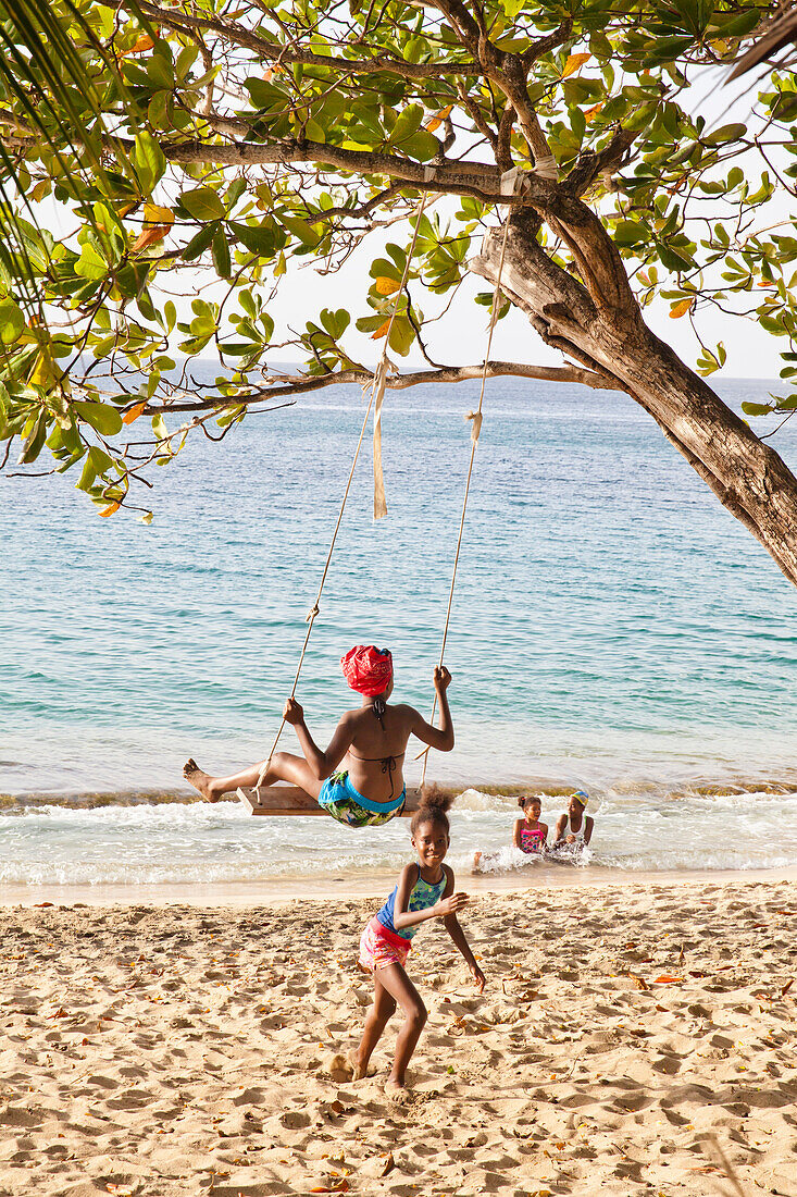 Kinder schaukeln an einem Baum am Strand