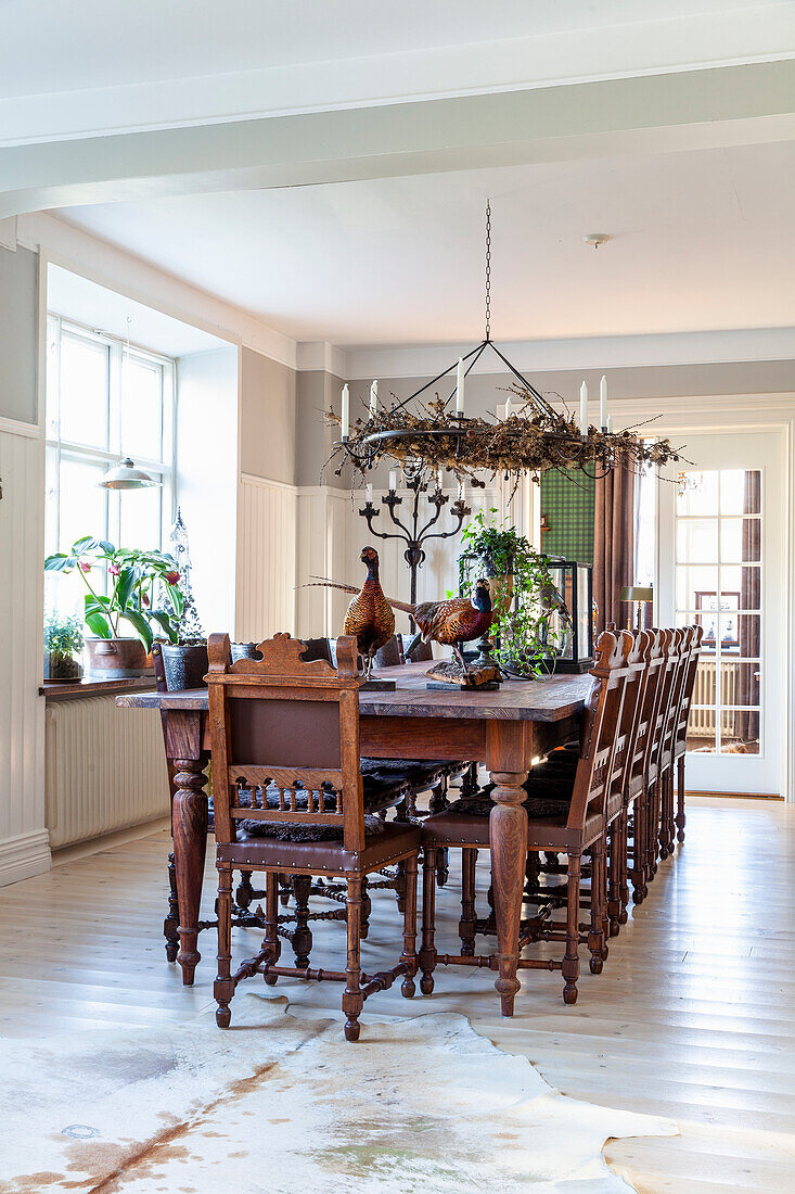 Dining room with antique dining table and chairs, chandelier and stuffed pheasants