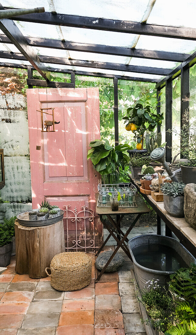 Greenhouse with rustic decoration and plants