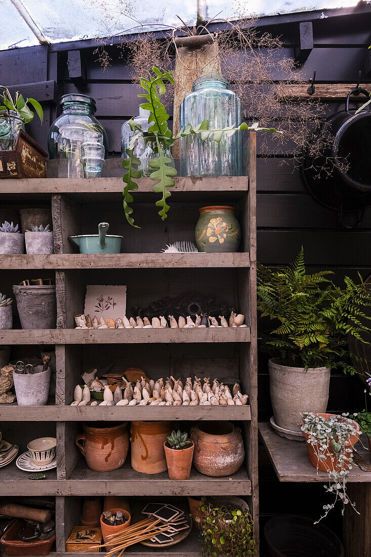 Shelf with terracotta pots, plants and glass vases