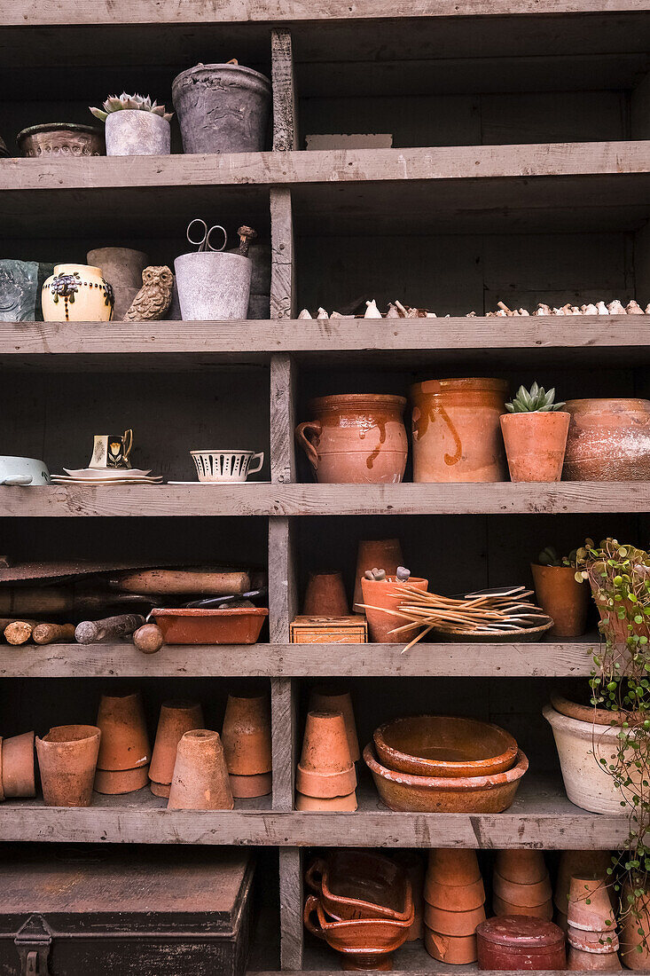 Shelves with clay pots, tools and garden accessories