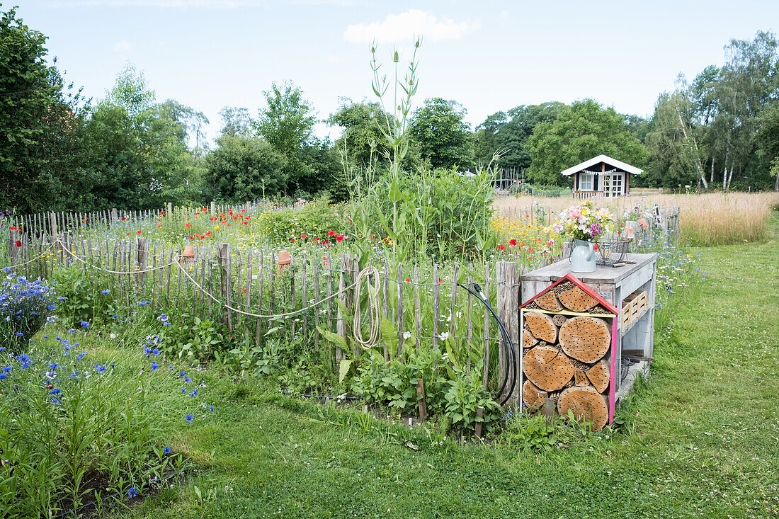 Blumenbeet und Insektenhotel in einem ländlichen Garten im Sommer