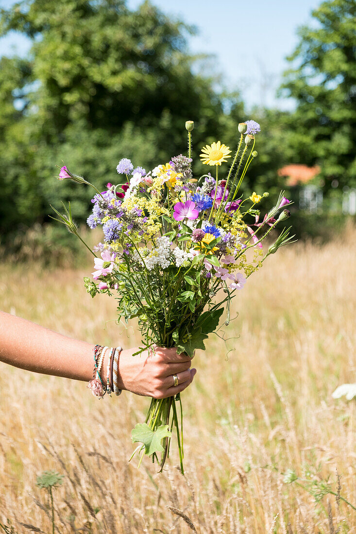 Colourful wildflowers in the hand in the summer garden