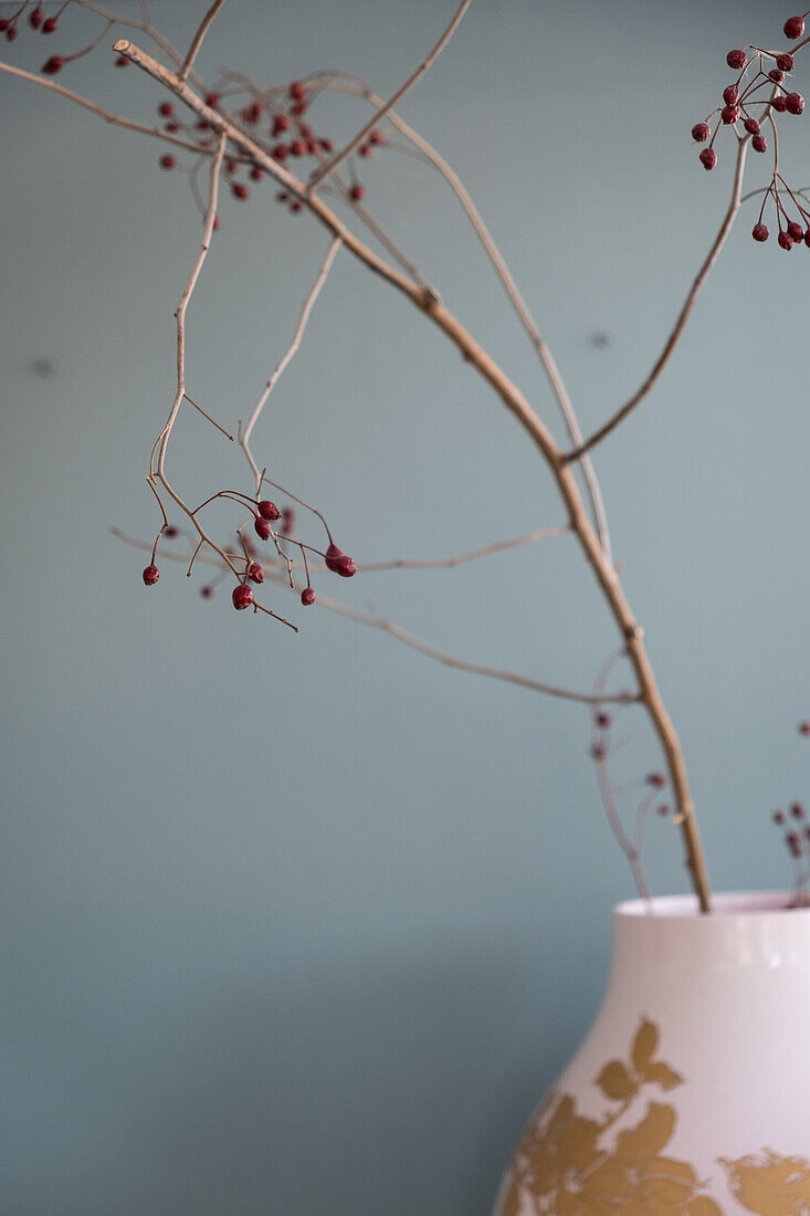 Branch with red berries in a vase in front of a blue wall