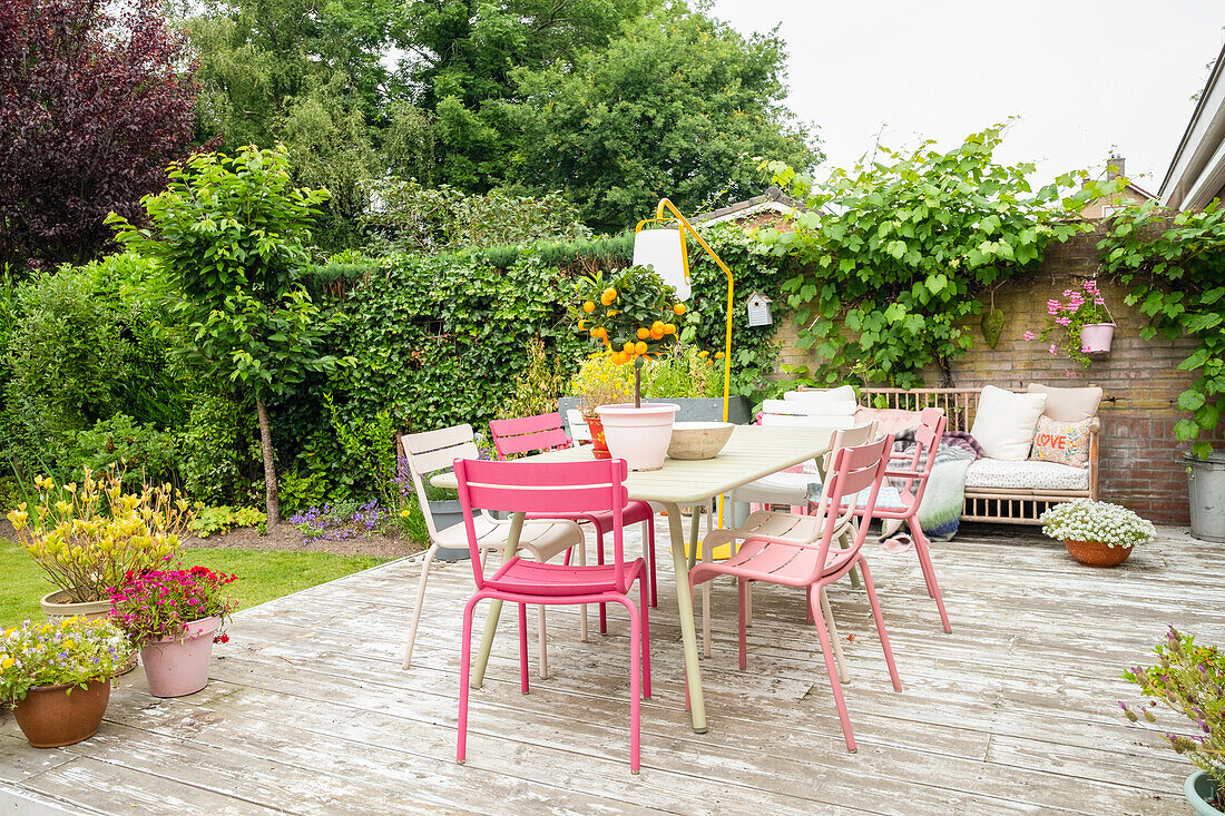 Tisch und bunte Gartenstühle auf sonniger Terrasse umgeben von Pflanzen