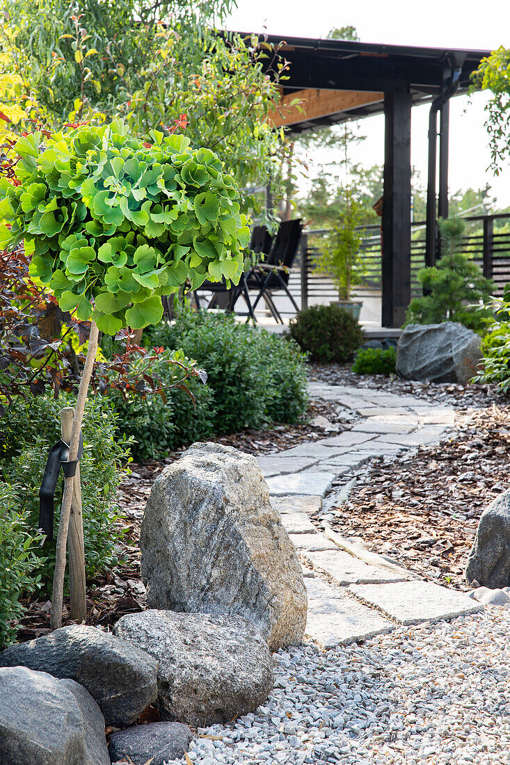 Paved garden path with stones and shrubs, terrace with wooden pergola in the background