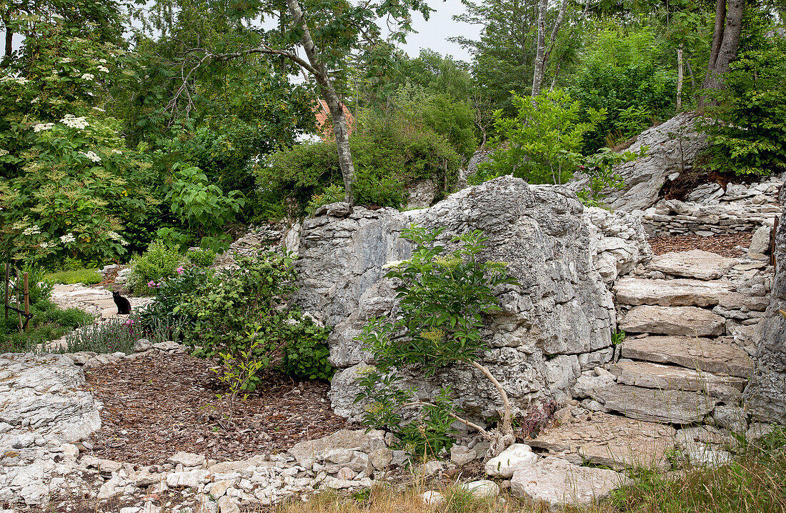 Steinweg und Natursteintreppen in einem üppig bewachsenen Garten mit Bäumen und Sträuchern