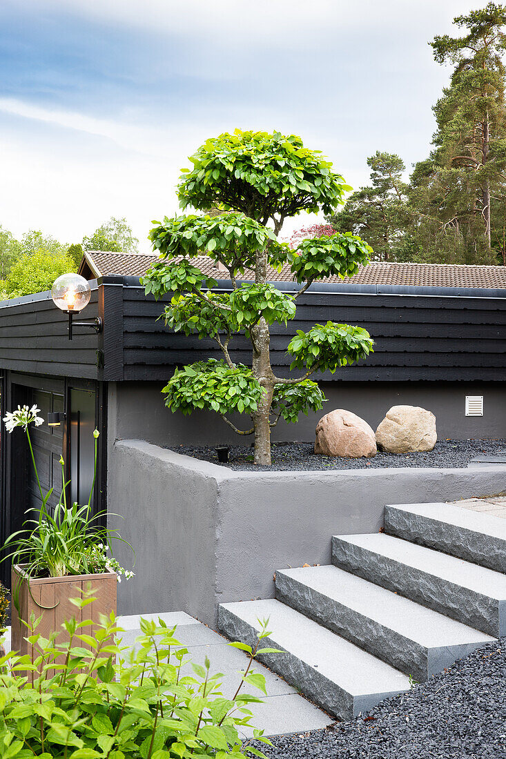 Rock garden with topiary and natural stone accents in front of modern building