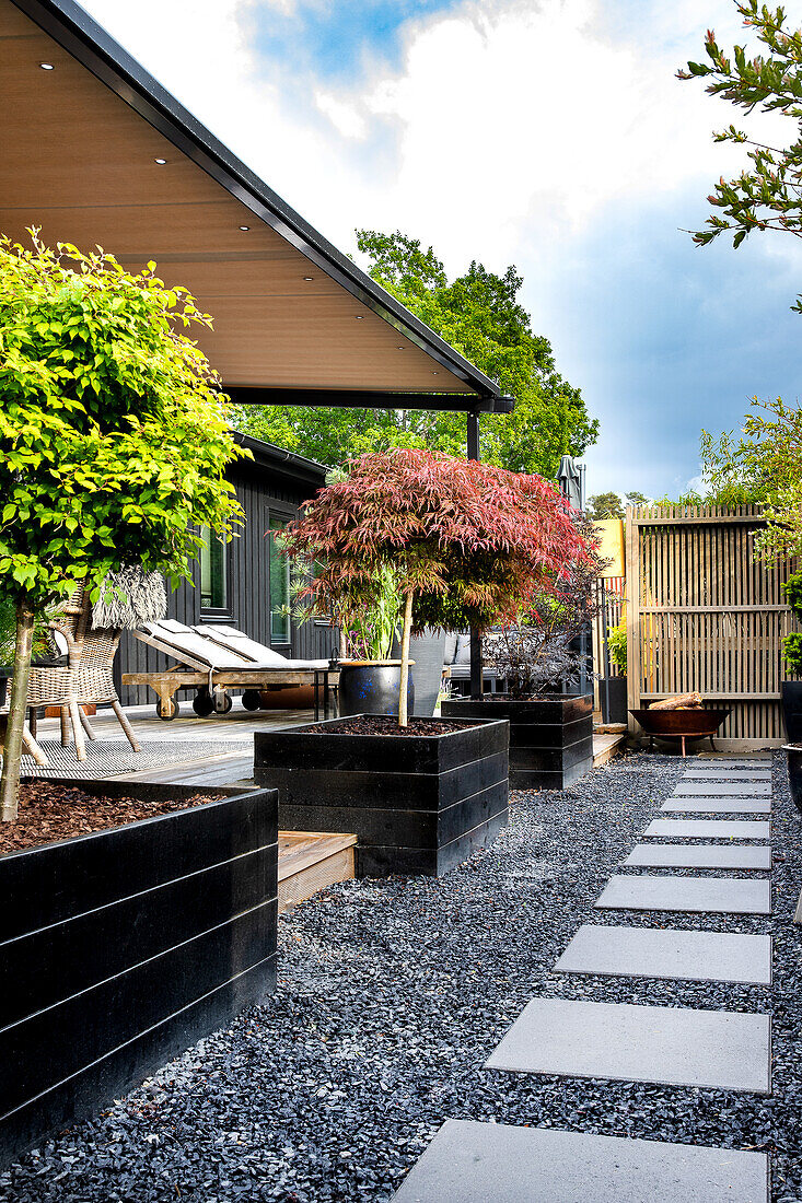 Modern garden with gravel path, stone slabs and trees in black planters