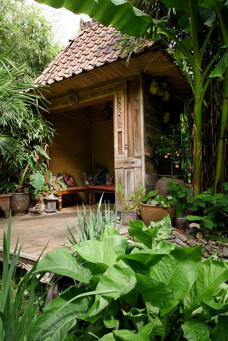 Traditionelle Gartenlaube aus Holz mit tropischen Pflanzen