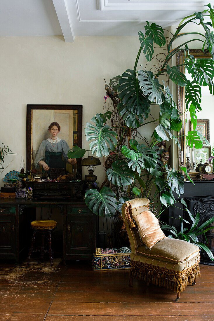 Antique armchair, monstera and painting on the wall