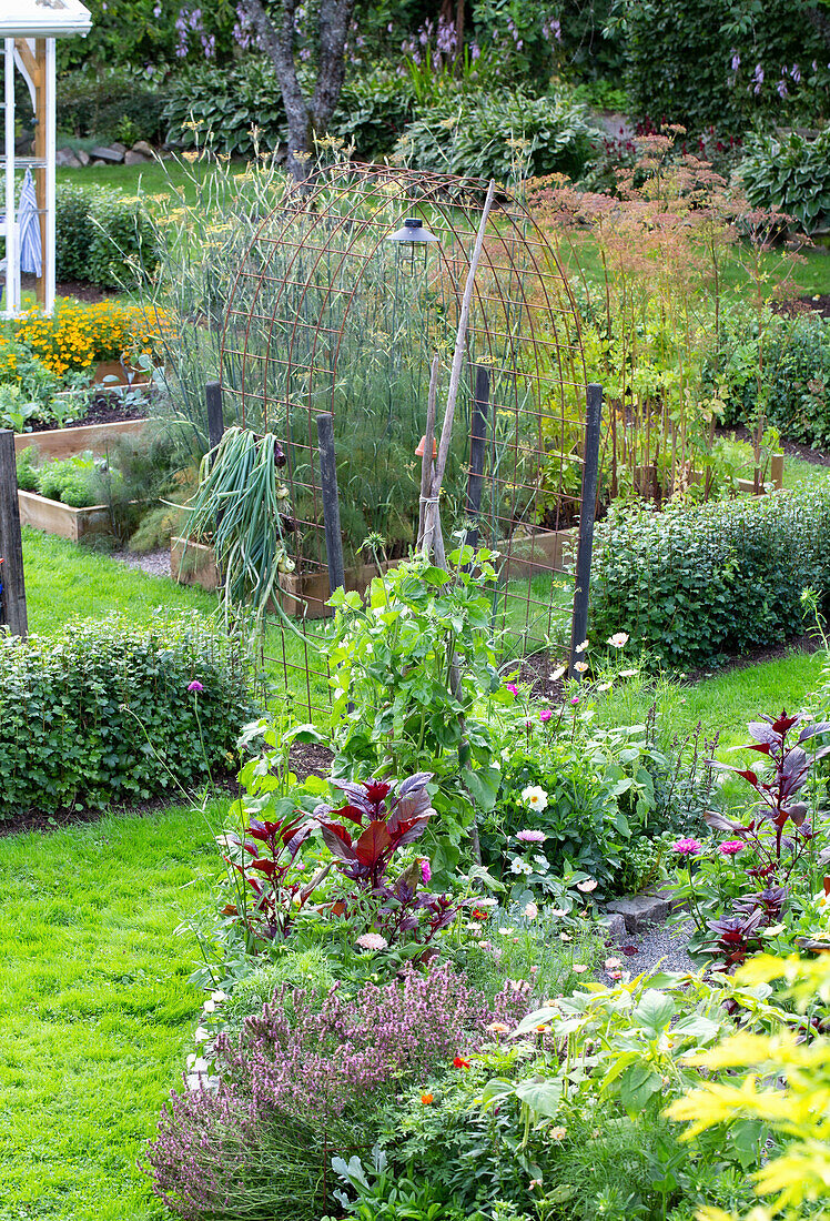 Lush garden with vegetable and flower beds in summer