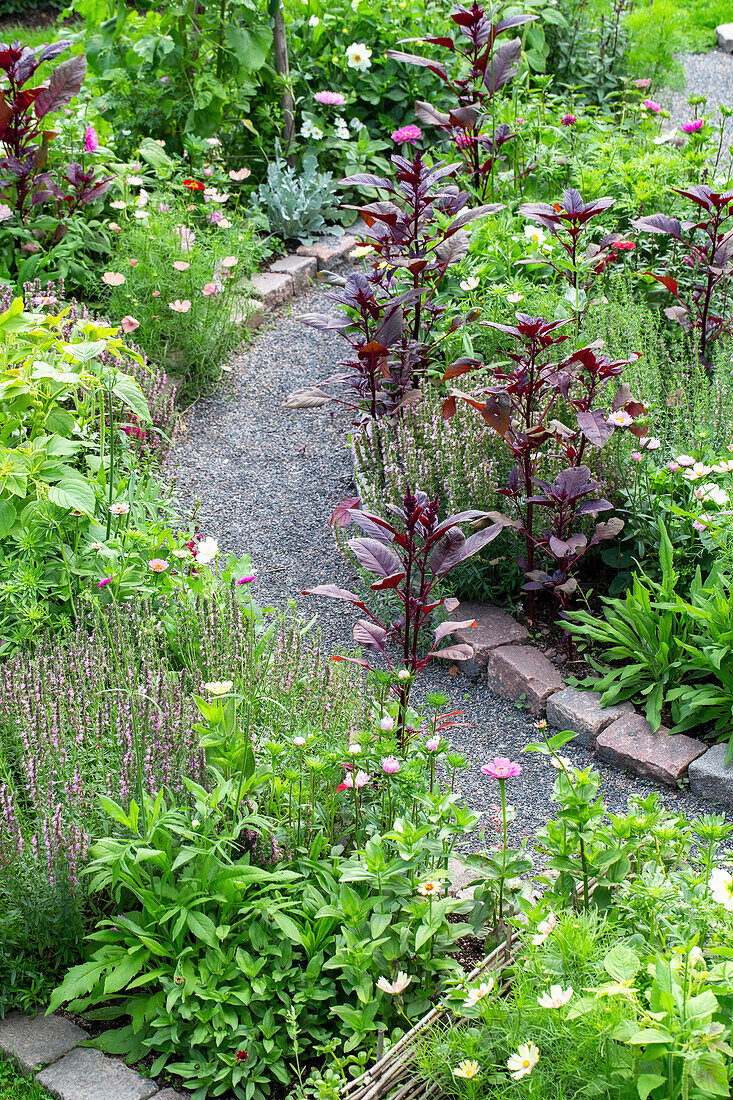 Gravel path surrounded by lushly planted flower beds