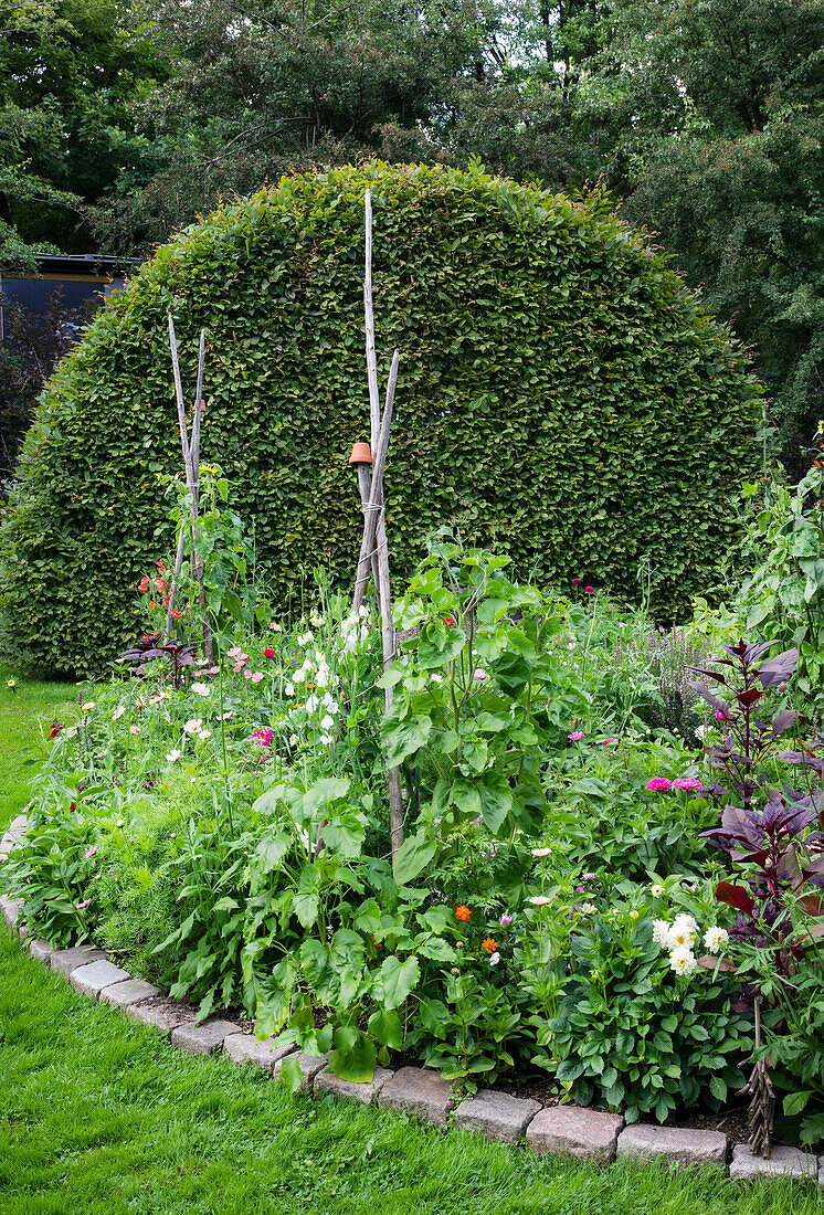 Lush vegetable and flower bed in front of a cut back gate