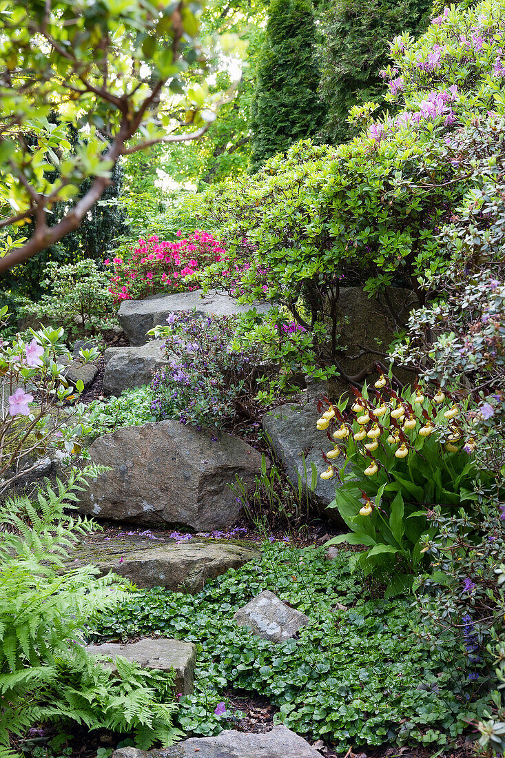 Stone path through flowering spring garden