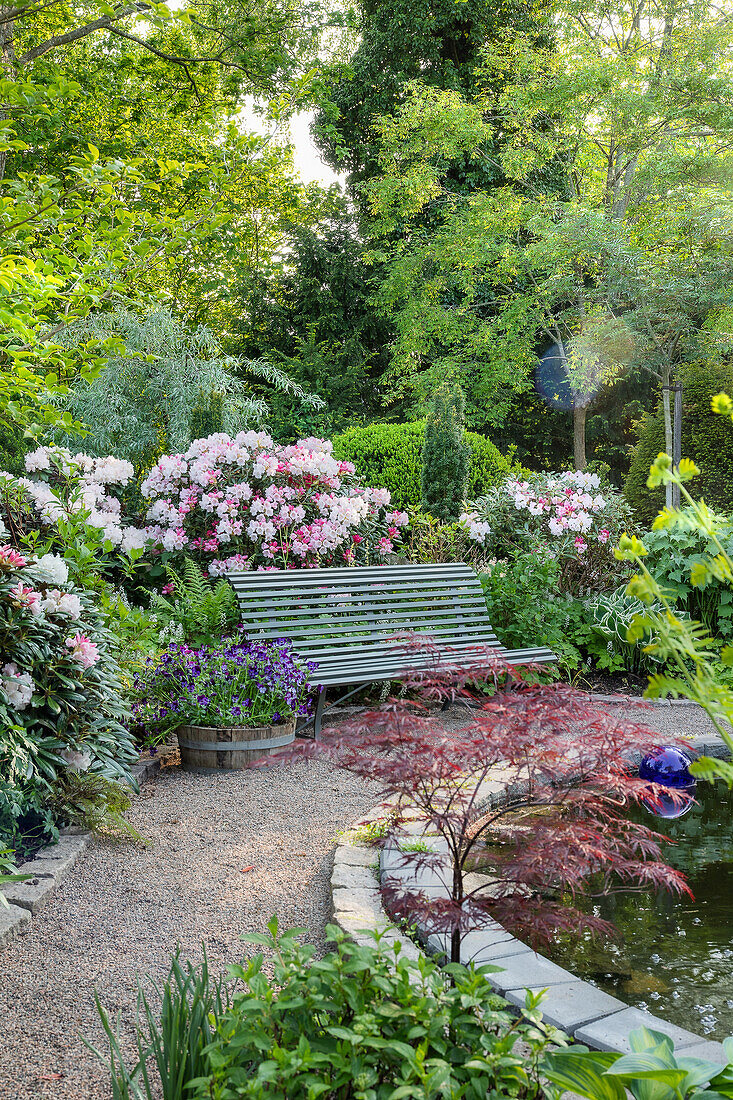 Romantische Gartenbank am Teich umgeben von blühenden Rhododendren