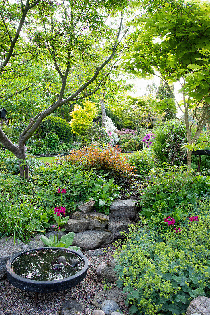 Lush garden with a variety of plants and bird bath