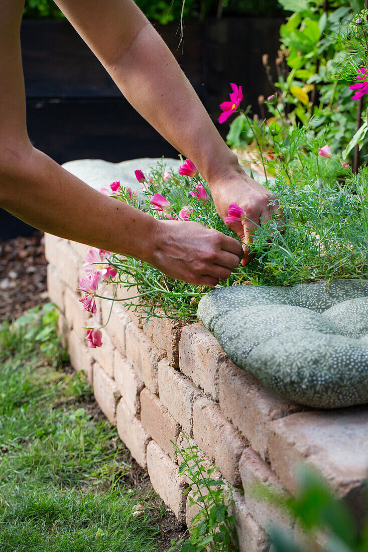 Flower care in a raised bed made of bricks in the garden