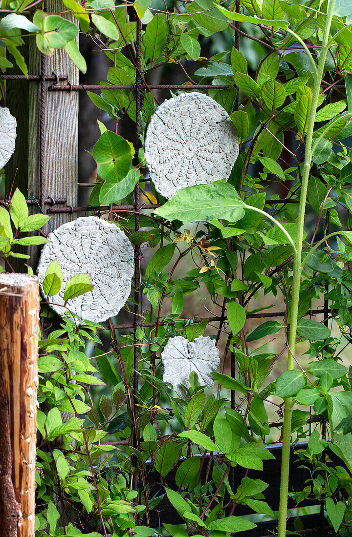 DIY-Spitzenornamente an einem Rankgitter im Garten