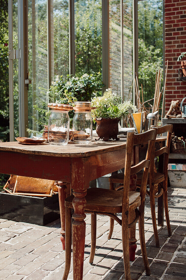 Wooden table with glass pots and plants in the garden shed